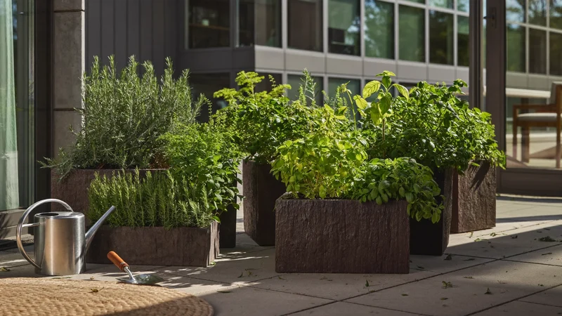Piccolo terrazzo urbano con vasi di erbe aromatiche e annaffiatoio